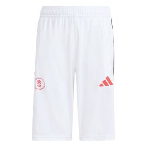 adidas Ly Hot Sho Y - white