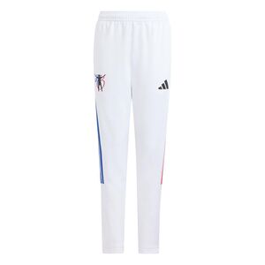 adidas Jb Hot Pnt Y - white