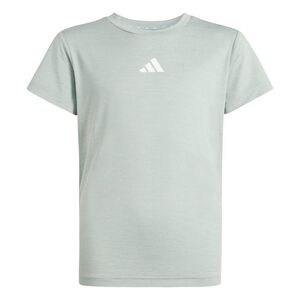 adidas Jg Gt Pz Tee - owhite/wosa/white