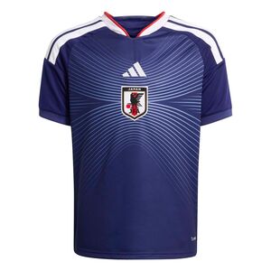 adidas Jfa H Jsy Y Kinder - japblu/ashblu