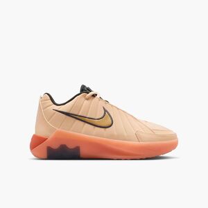 Nike Lebron Witness 9 Big Kids Basketba - ice peach/metallic gold-orange puls
