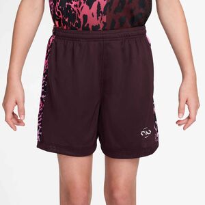 Nike Nike Academy Big Kids (Girls) Dri - burgundy crush/metallic silver