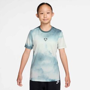 Nike Nike Academy+ Big Kids Dri-Fit Sho - mineral slate/summit white/black