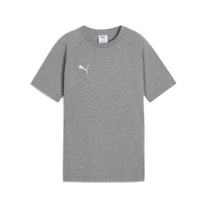 Puma teamEVOSTRIPE Tee Jr - Medium Gray Heather-PUMA Silver-PUMA White