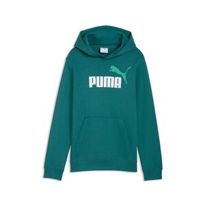Puma ESS 2 COLOR No.1 Logo Hoodie TR B - Emerald Ice
