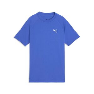 Puma EVOSTRIPE Tee B - Royal Sapphire