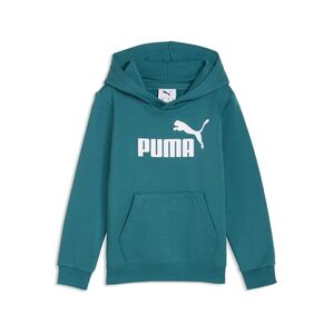 Puma ESS No. 1 Logo Hoodie FL PS - Emerald Ice
