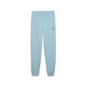 Puma ESS No. 1 Logo Sweatpants FL cl (s) - Seafoam