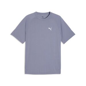 Puma EVOSTRIPE Tee - Gray Sky