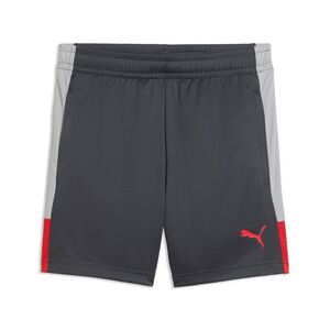 Puma IndividualLIGA Training Shorts Jr - Gray Echo-Dusky Gray-PUMA Red