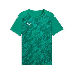 Puma teamFINAL Graphic Jersey - Sport Green-PUMA White-Power Green