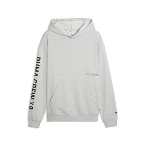 Puma M GRAPHICS FRENCH TERRY HOODIE - Light Gray Heather