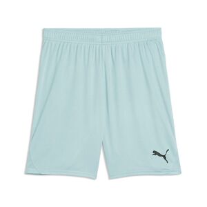 Puma teamGOAL Shorts - Modern Mint