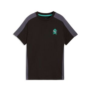Puma ACTIVE SPORTS Small Graphic Tee B - PUMA Black