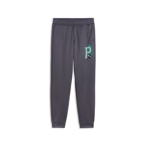Puma ACTIVE SPORTS Poly Pants B - Galactic Gray