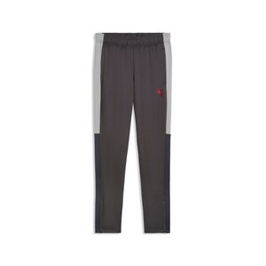 Puma IndividualLIGA Training Pants - Strong Gray-PUMA Red-Gray Echo