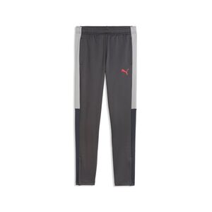 Puma IndividualLIGA Training Pants Jr - Strong Gray-PUMA Red-Gray Echo