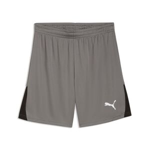 Puma teamLIGA26 Shorts - Flat Medium Gray-PUMA White-PUMA Black
