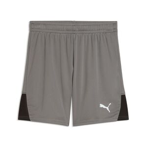 Puma teamLIGA26 Shorts Jr - Flat Medium Gray-PUMA White-PUMA Black