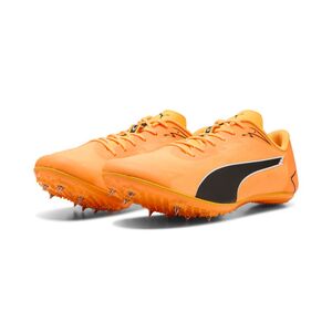 Puma evoSPEED Brush 7