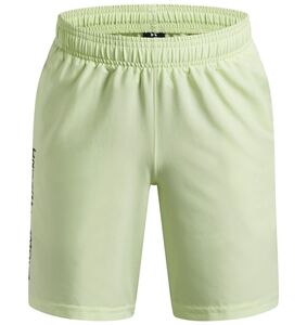 Under Armour Ua Tech Woven Wordmark Short - fade green