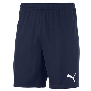 Puma TeamGOAL 23 Knit Shorts kurze Herren Hose Sporthose Trainingshose blau 704262-06