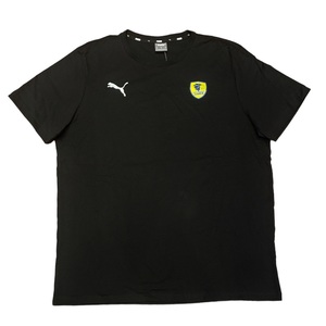 Puma RNL Rhein Neckar Lwen TeamGOAL 23 Casuals Tee T-Shirt schwarz 656578-03