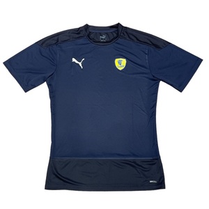 Puma RNL Rhein Neckar Lwen TeamGOAL 23 Training Jersey Herren Trikot T-Shirt blau 656482-06