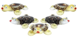 Magnet Schildkr�te - lustige Magnete aus Muscheln  - 5 St�ck im Set