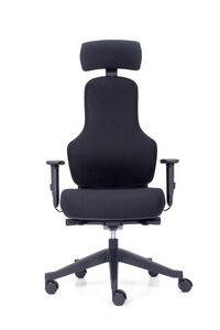 Ergonomischer B�rostuhl | Lordosenst�tze | Armlehne | Kopfst�tze