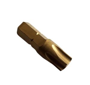Bit Torx 45 TiN (CVD)