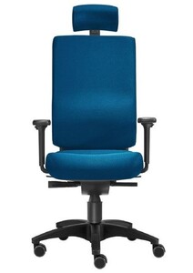 B�rostuhl Ergonomisch | Lordosenst�tze | Armlehne | Kopfst�tze
