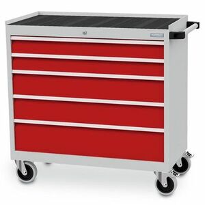 Bedrunka Hirth Mobiler Schubladenschrank T500 5 Schubladen 980x500x1000 mm