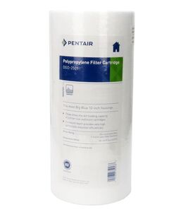 Pentair / Pentek DGD-2501 25/1 ?m 10 BigBlue 155359-43