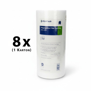8x Pentair / Pentek DGD-2501 25/1 ?m 10 BigBlue 155359-43