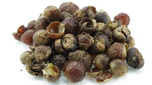 Indische Waschnsse 1 Kg lose in PE-Beutel