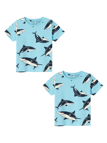 T-Shirt 2er-Set Kurzarm Normal geschnitten Rundhals 