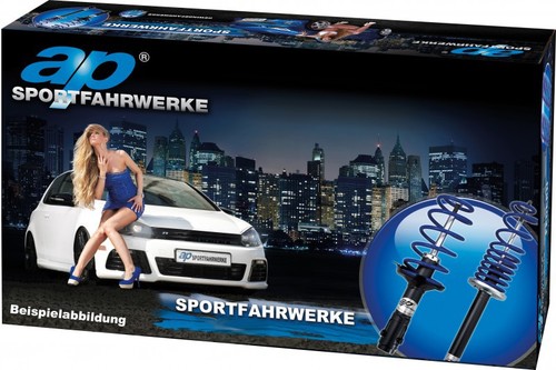 ap VA-Sportfahrwerk f�r BMW 3er E36 (3B, 3/B, 3C, 3/C, 3CG) Touring, 316i, 318i