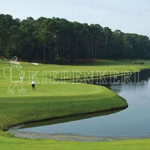 Kiepenkerl Golfrasen Rasenmischung Masters Nachsaat 10kg