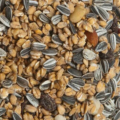 Pfiffikus Wintervogelfutter Wintertraum 25 kg