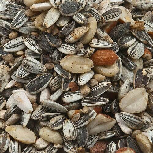 Pfiffikus Meisenfutter Mischung 