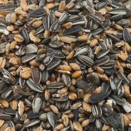 Pfiffikus Streufutter f�r Wildv�gel 