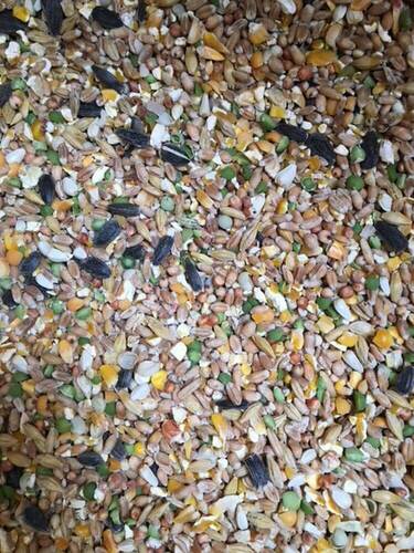 Schrers Geflgelkrnerfutter Spezial 10 Korn 25kg