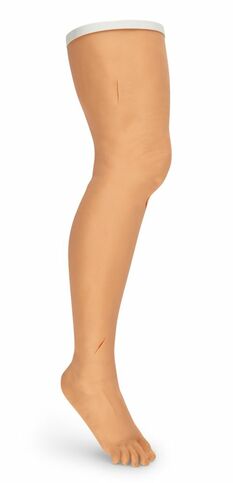 Naht-Bein Trainingsmodell, Simulator Naht, n�hen am Bein