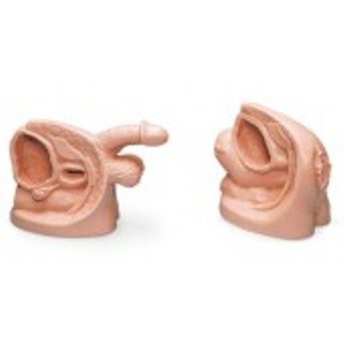 2 Katheterisierungsmodelle Modell Simulator Katheterisierung weiblich + m�nnlich