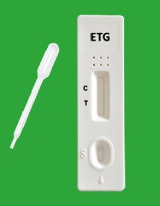 m�Lab ETG Test zum qualitativen Nachweis von Ethylglucuronid im Urin, 10 Tests
