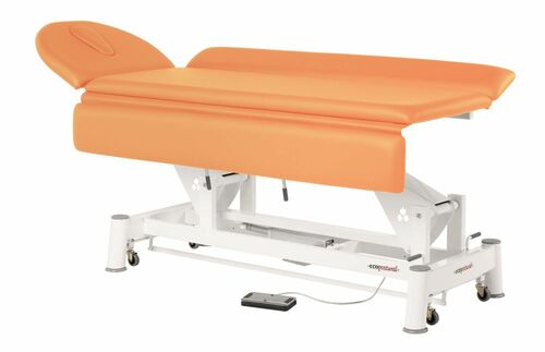 Therapieliege, Untersuchungsliege mit Gesichtsloch, elektr. div. Farben + Hocker