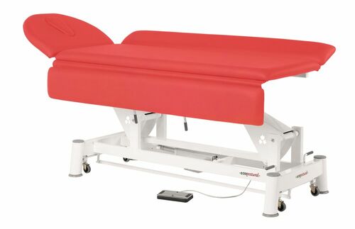 Therapieliege, Untersuchungsliege mit Gesichtsloch, elektr. div. Farben + Hocker