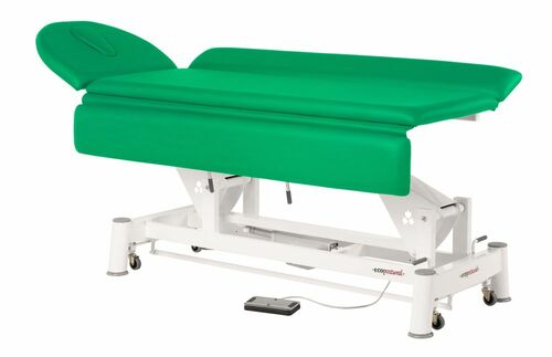 Therapieliege, Untersuchungsliege mit Gesichtsloch, elektr. div. Farben + Hocker