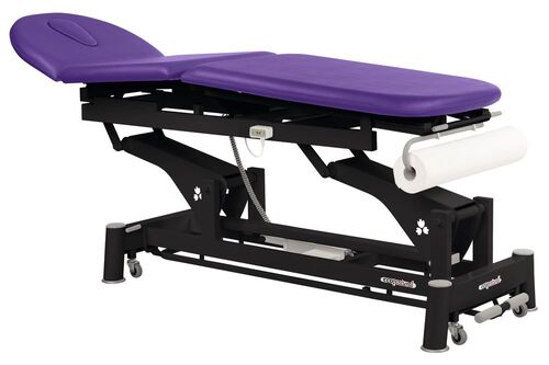 Elektrische Therapieliege mit schwarzem Metall Rahmengestell 62 x 200 cm 